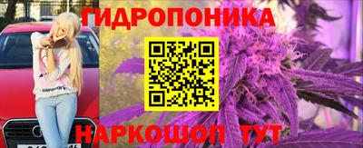 jwh Дубна