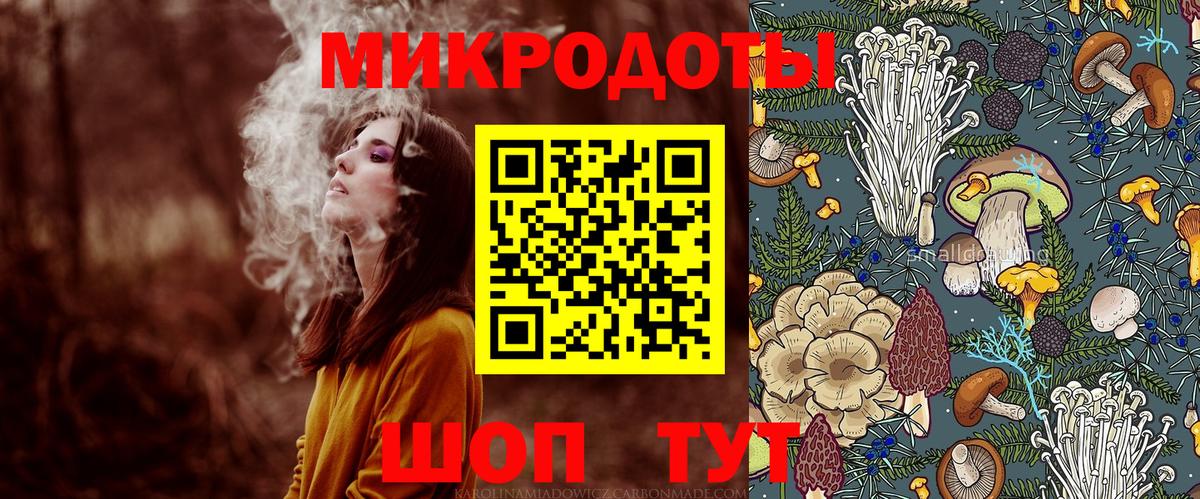 Псилоцибиновые грибы GOLDEN TEACHER  Вход с VPN  Моздок  Псилоцибиновые грибы ЛСД 